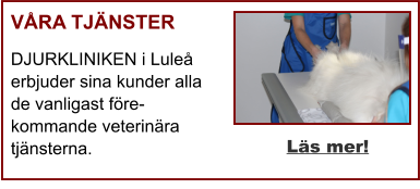 VÅRA TJÄNSTER DJURKLINIKEN i Luleå erbjuder sina kunder alla de vanligast före-kommande veterinära tjänsterna. Läs mer!
